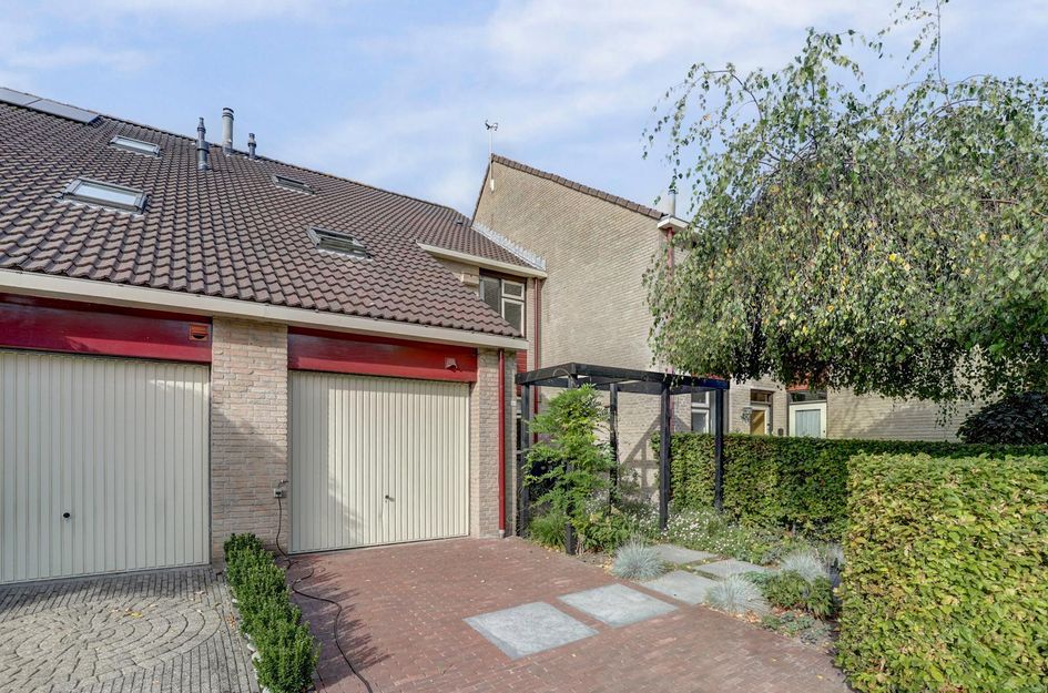 Hohorst 60