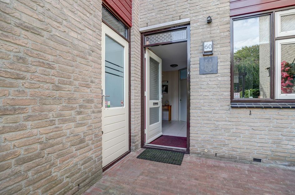 Hohorst 60
