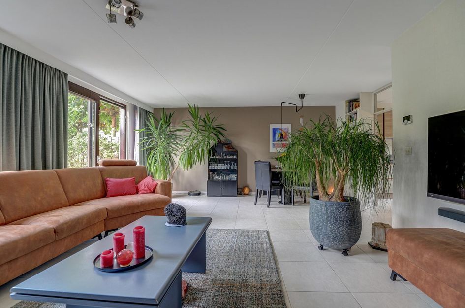 Hohorst 60