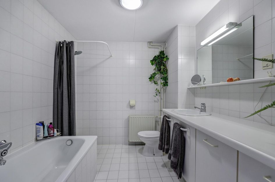Hohorst 60