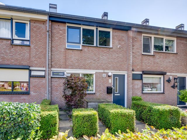 Scholverbos 24, Rijen