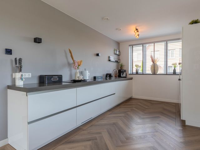 Zeekool 1, Roelofarendsveen