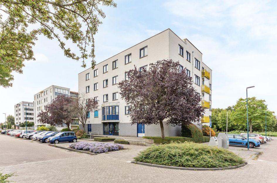 Mosgroen 213