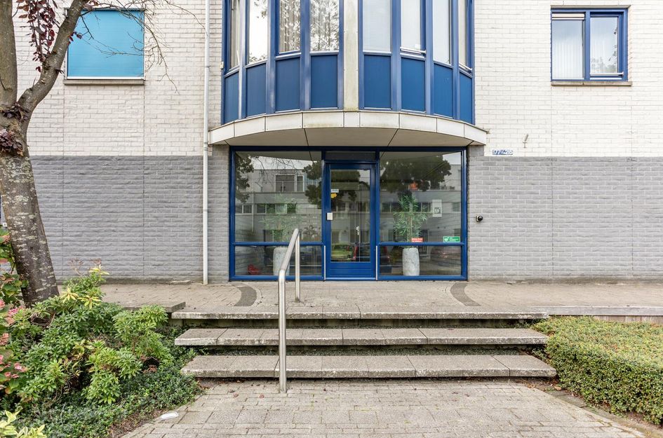 Mosgroen 213