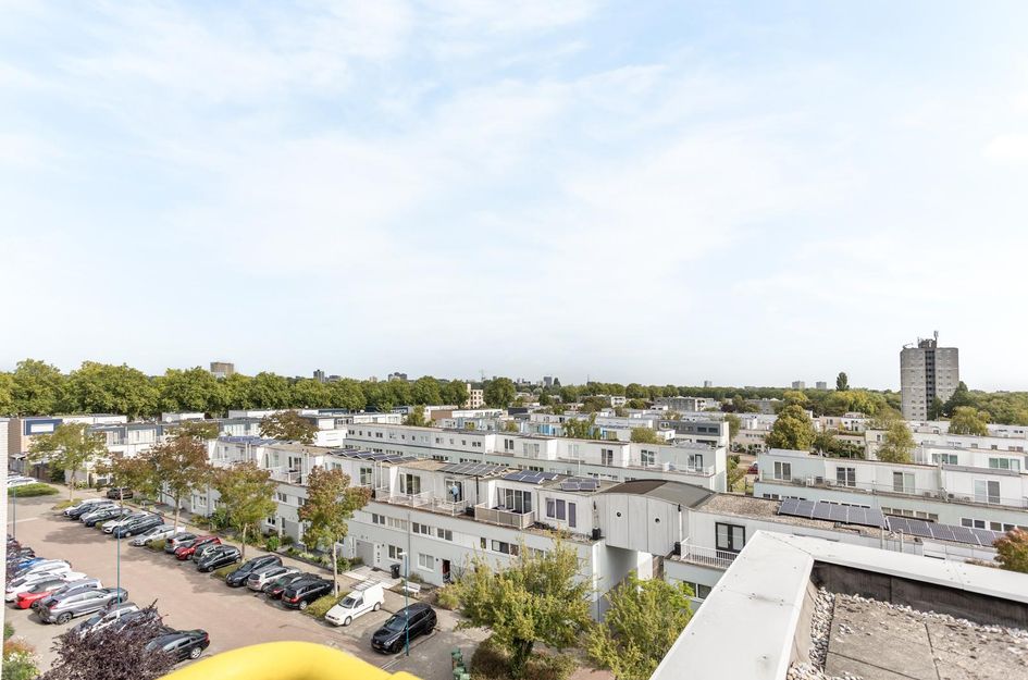 Mosgroen 213