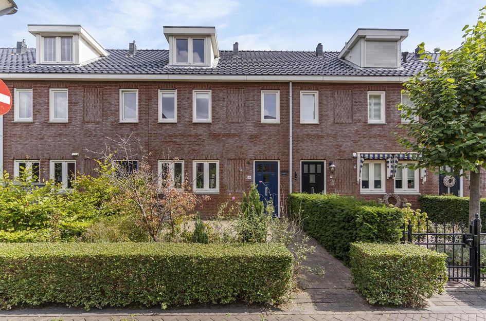 Schoener 18