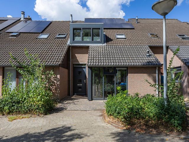 Wagenmaker 37, Best