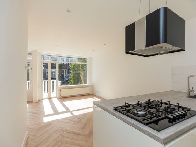 Buys Ballotsingel 53B, Schiedam