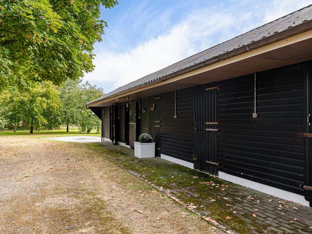 Haantje 2, Odoornerveen