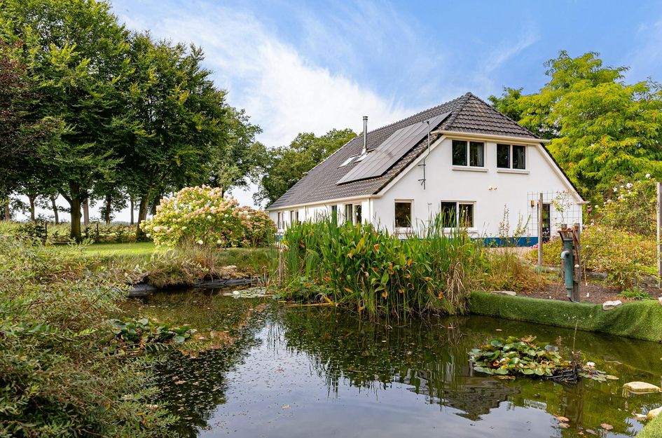 Haantje 2