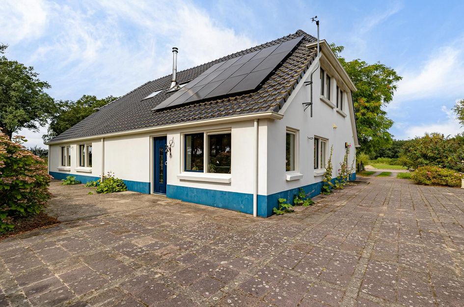 Haantje 2