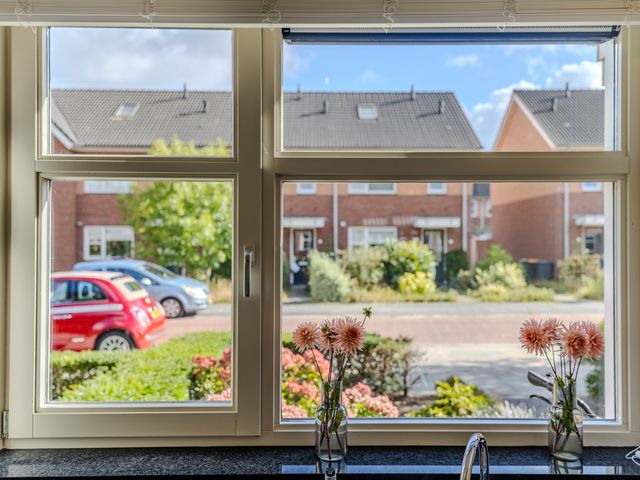 Citroenvlinder 22, Holten