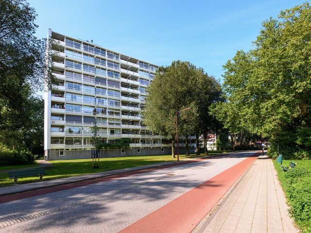 Buizerd 71, Heerenveen