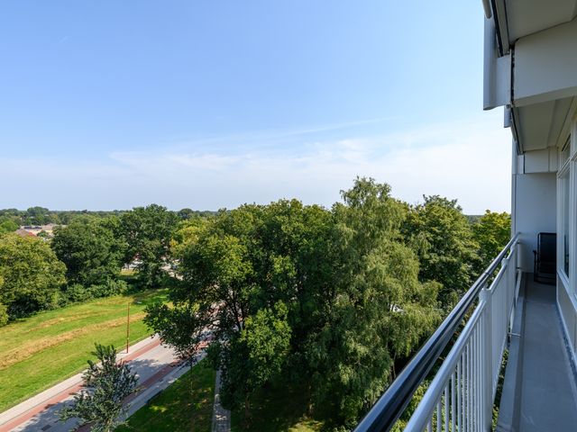 Buizerd 71, Heerenveen