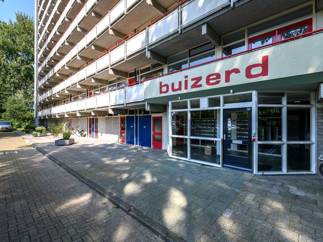 Buizerd 71, Heerenveen