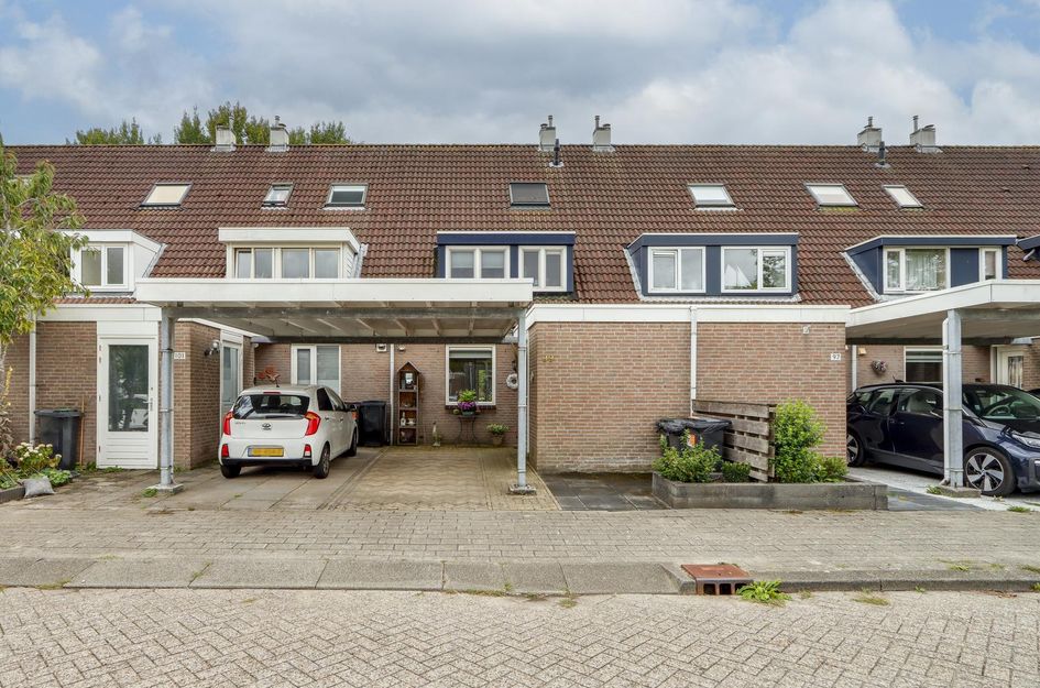 Zandbos 99