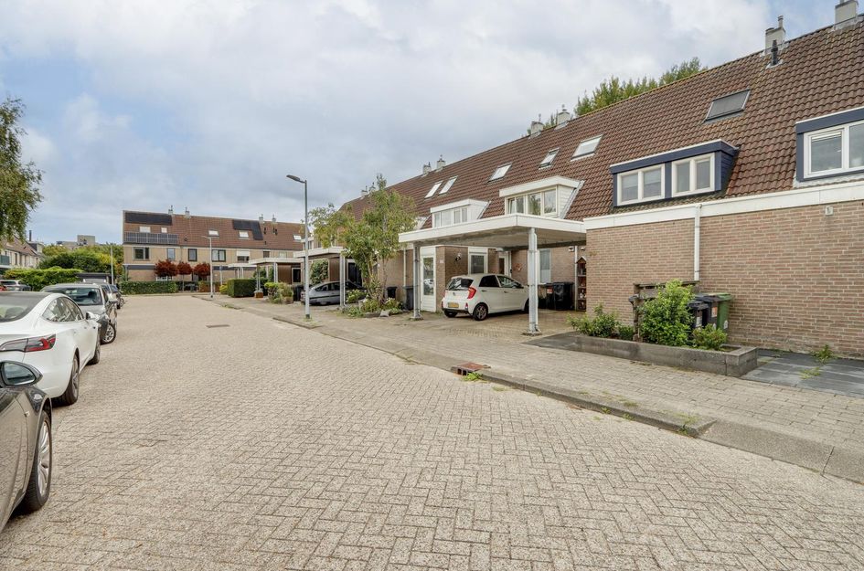 Zandbos 99