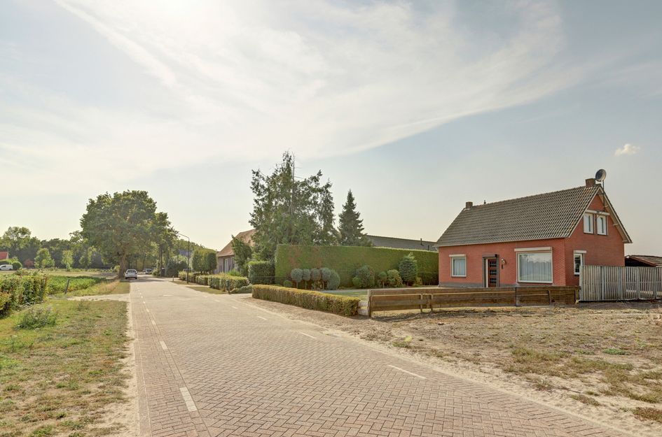 Kattenbos 8