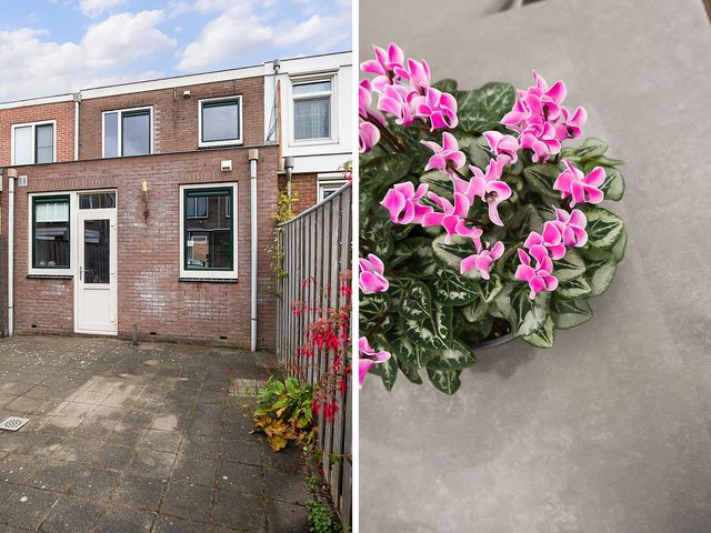 Kedoestraat 12, Haarlem
