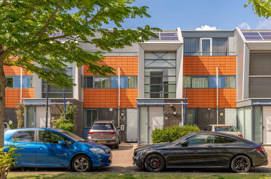 Vuurland 31