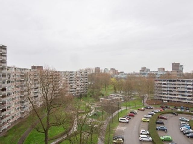Jonkerbos , Zoetermeer