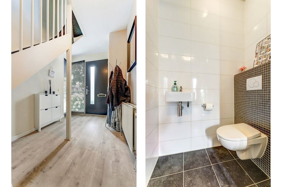 MacBridestraat 67