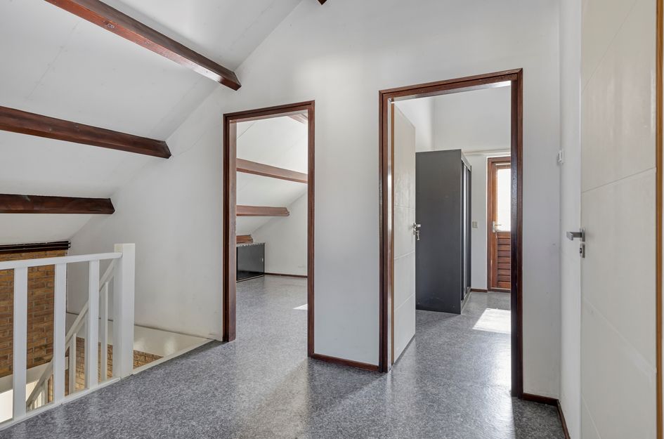De Wolfstraat 11