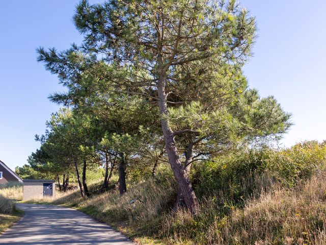 De Duinen 241, Ouddorp