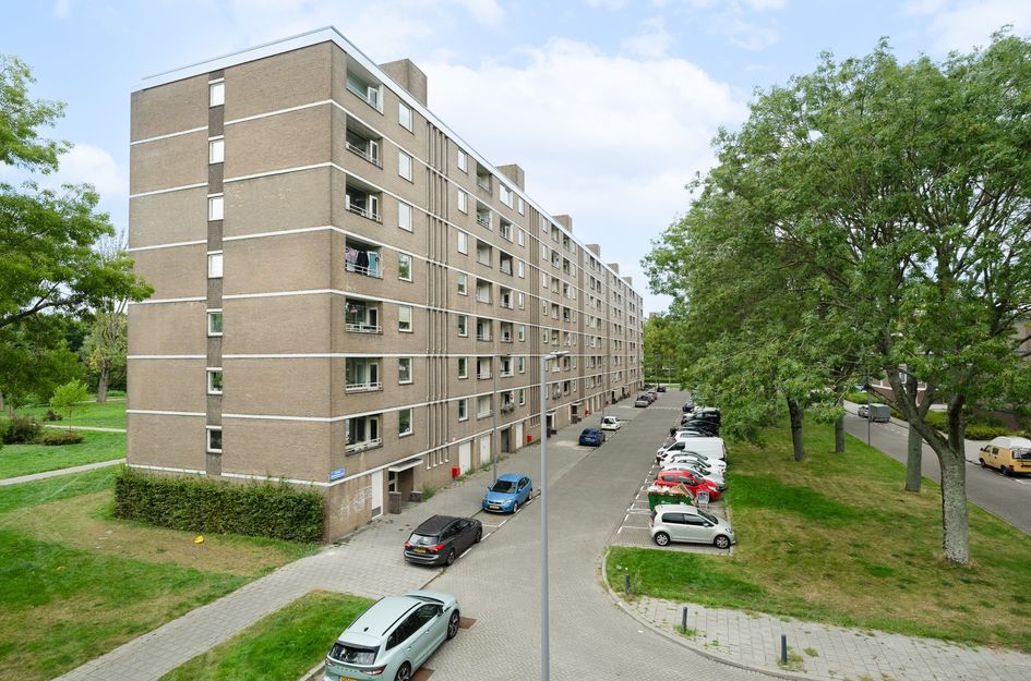 Adriaan Dortsmanstraat 55