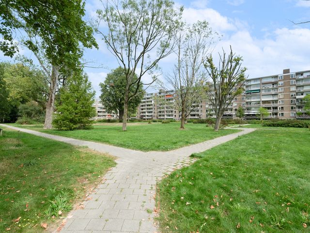 Adriaan Dortsmanstraat 55, Rotterdam