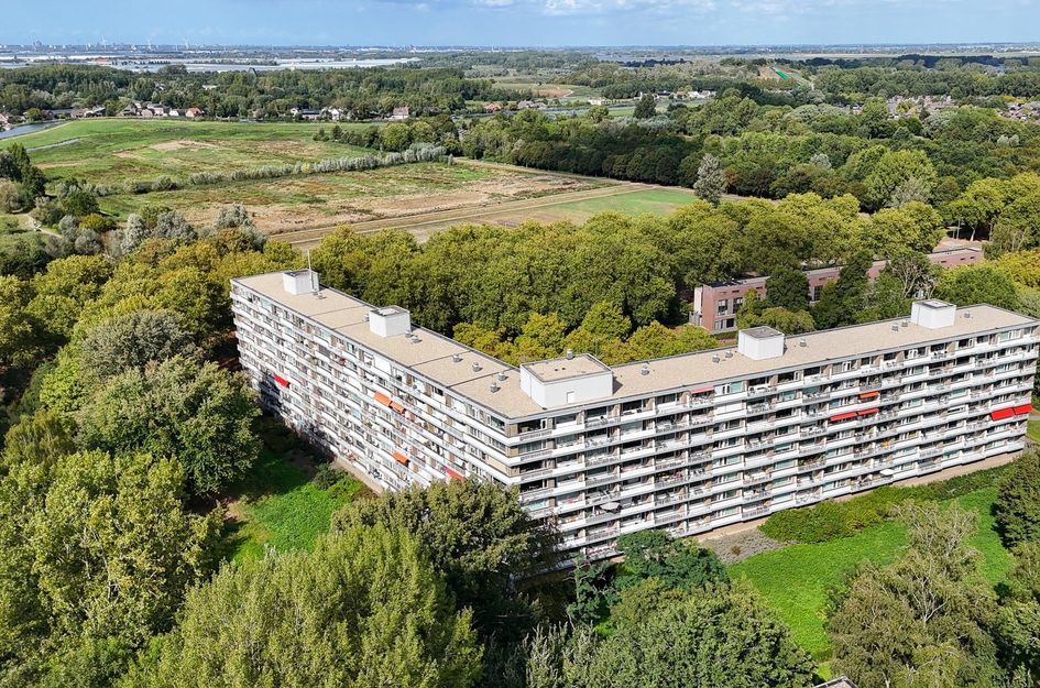 Söderblomplaats 382