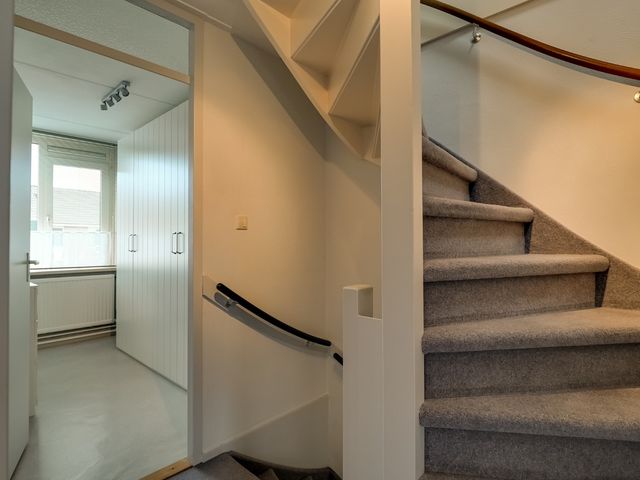 Wieken 7, Avenhorn