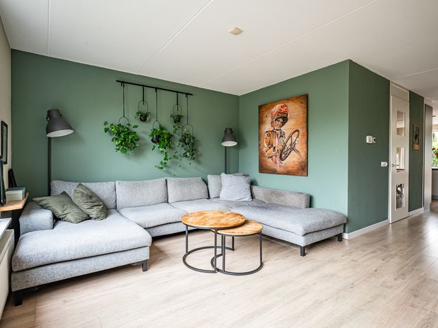 Ganzenroer 3A, Tollebeek