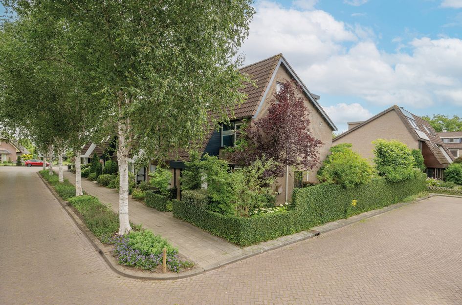 Berkeboom 55