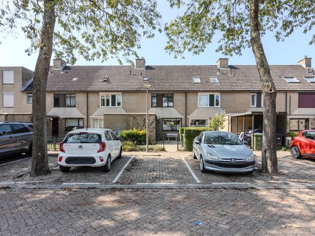 Meerkoet 13, Hoogvliet Rotterdam