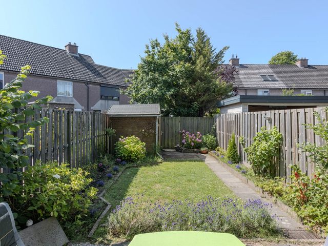 Meerkoet 13, Hoogvliet Rotterdam