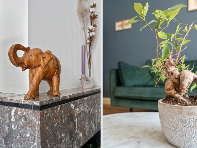 De Graeffstraat 24B, Rotterdam