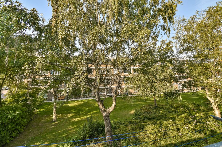Ruysdaelhof 38