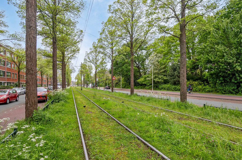 Laan Van Meerdervoort 970