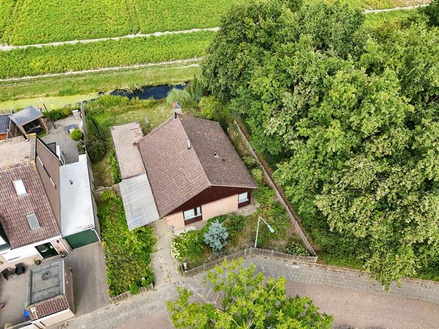Koolmees 41, Sommelsdijk