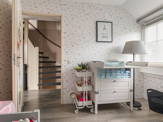 Het Plankenpad 30, Swifterbant