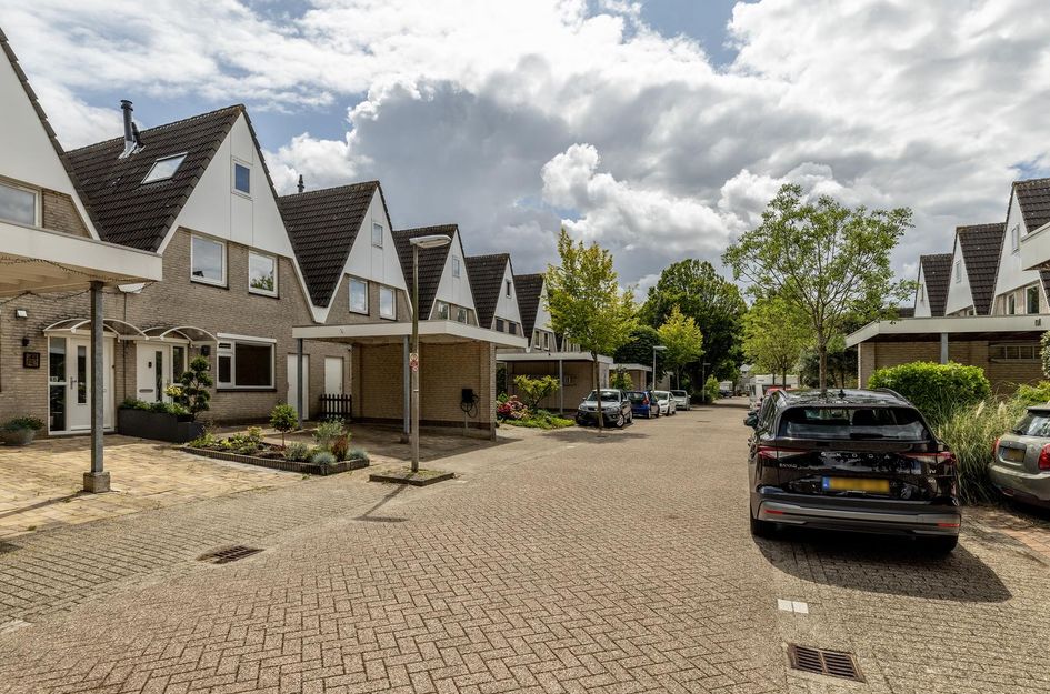 Zaagmolen 46