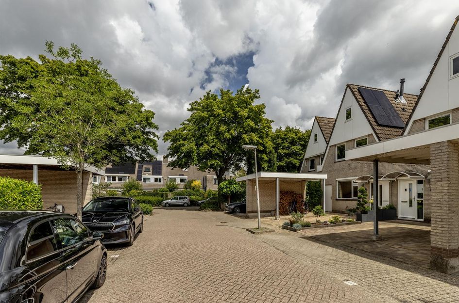Zaagmolen 46