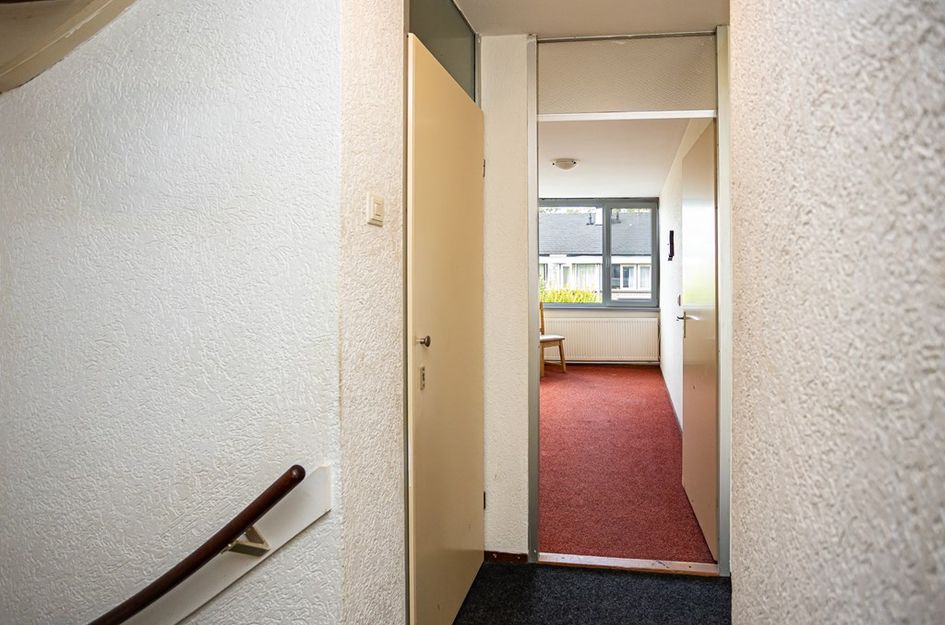 Haydnstraat 54