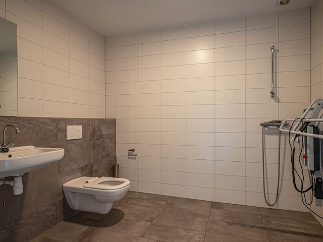 Ganzenroer 3A, Tollebeek
