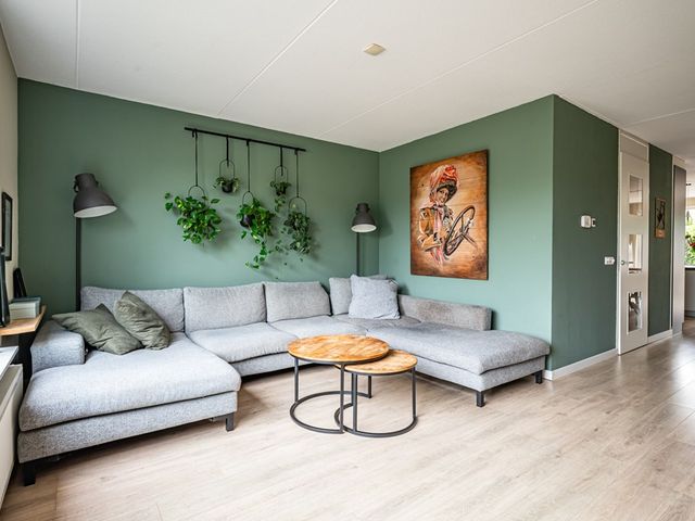 Ganzenroer 3A, Tollebeek