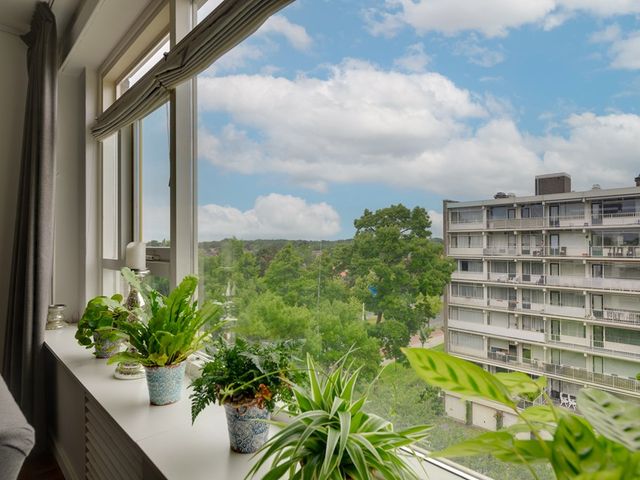 Suzannaland 88, Den Haag