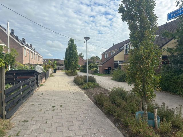 Hyacintlaan 2, Winkel
