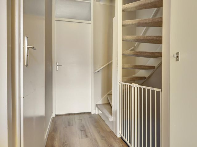 Leverkruid 9, Naaldwijk