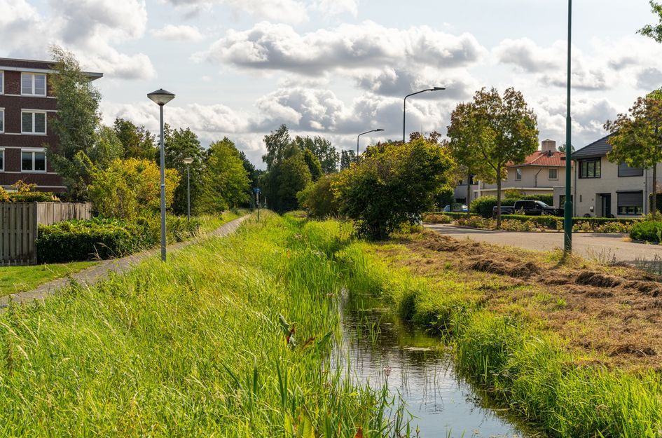 Christinestraat 31